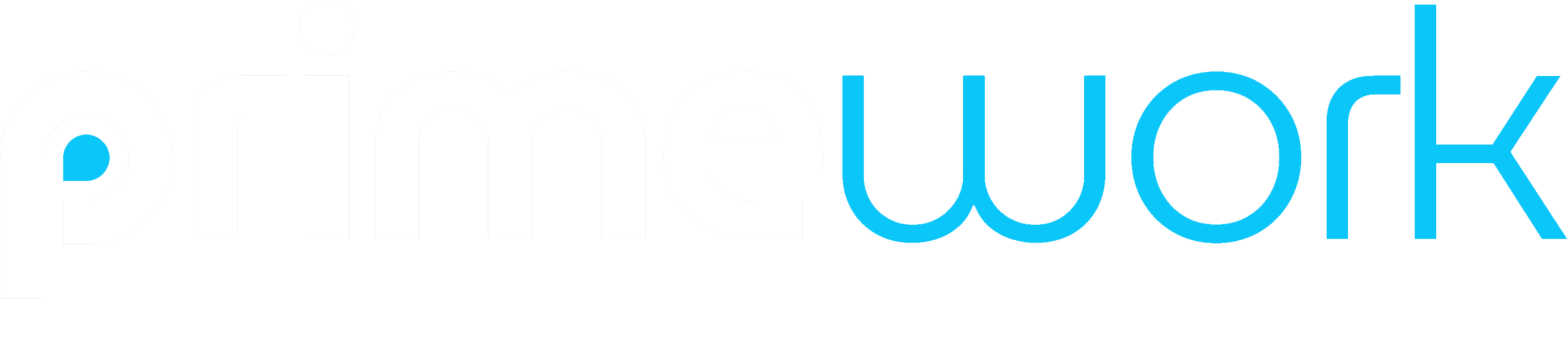 Primework Group: CRM